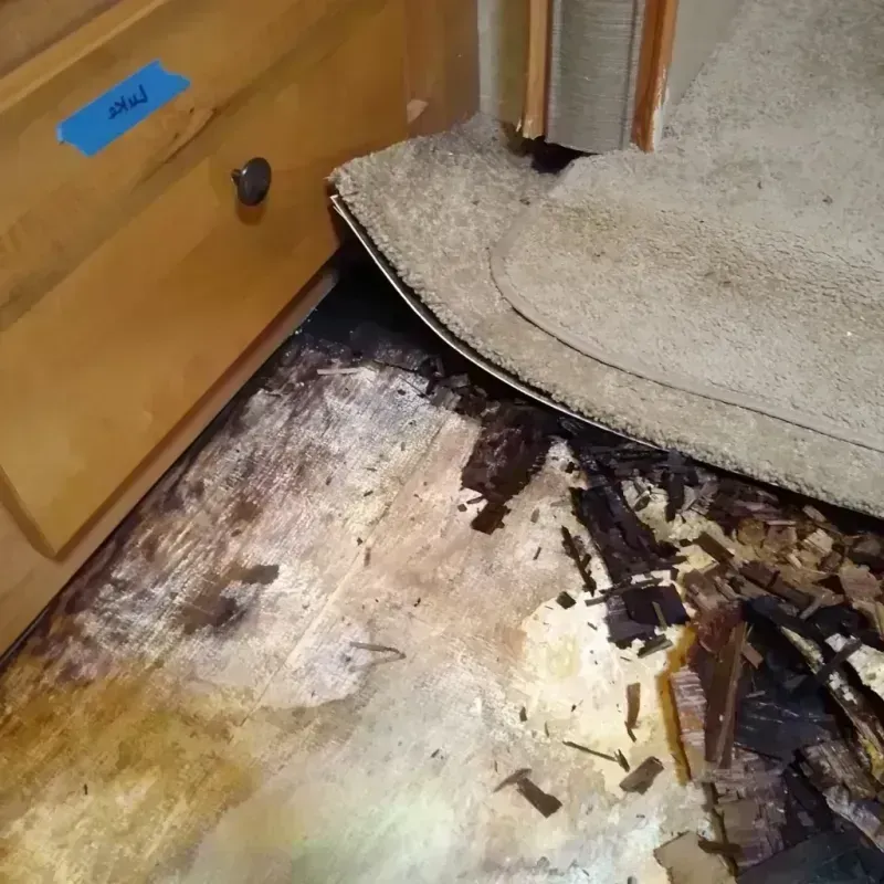 Wood Floor Water Damage in Woodville, OH